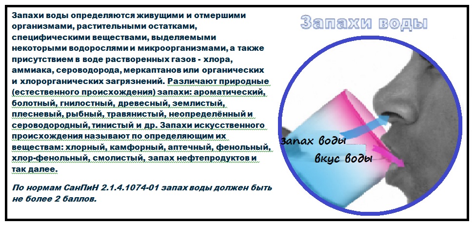 Как проверить качество воды в домашних условиях 