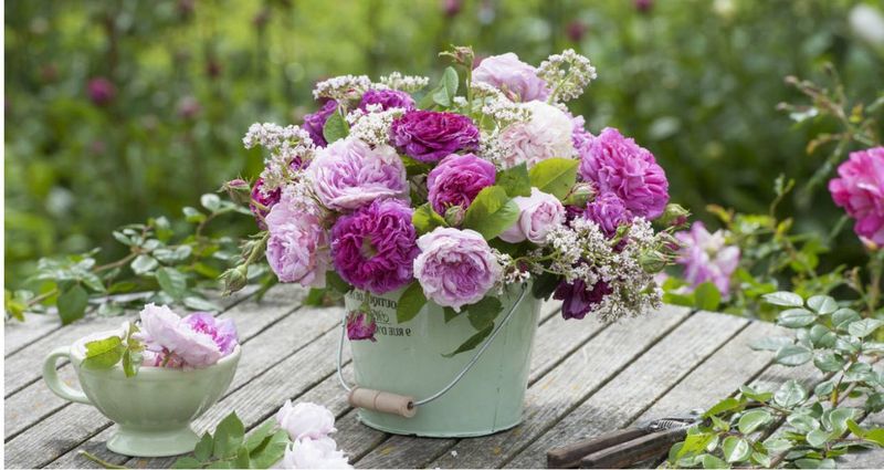 Что сделать, чтобы цветы дольше простояли?